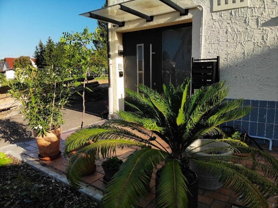 Gemuetliche 3 Zimmer Wohnung Mit Grosszuegiger Terrasse Im Gruenen 罗伊特林根 外观 照片